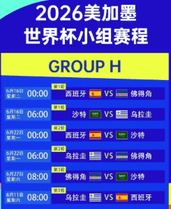阿根廷卫冕之路